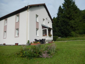Gîte en pleine nature, proche de La Bresse avec activités familiales, terrasse et poêle à bois - FR-1-589-70
